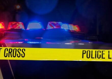 Pamela Messano Naples FL Death Obituary - Woman Died In Collier County House Fire