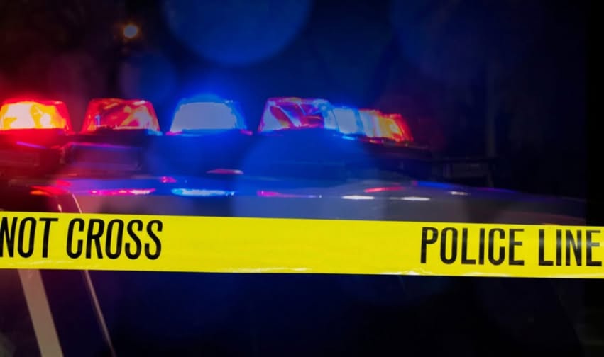 Pamela Messano Naples FL Death Obituary - Woman Died In Collier County House Fire