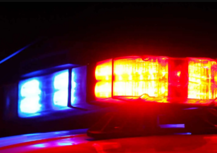 Dana Jenner New Lenox IL Death Obituary - Woman Died After Tree Falls On Camper Trailer